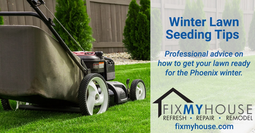 Lawn Seeding Tips for Winter in the Desert Fix My House